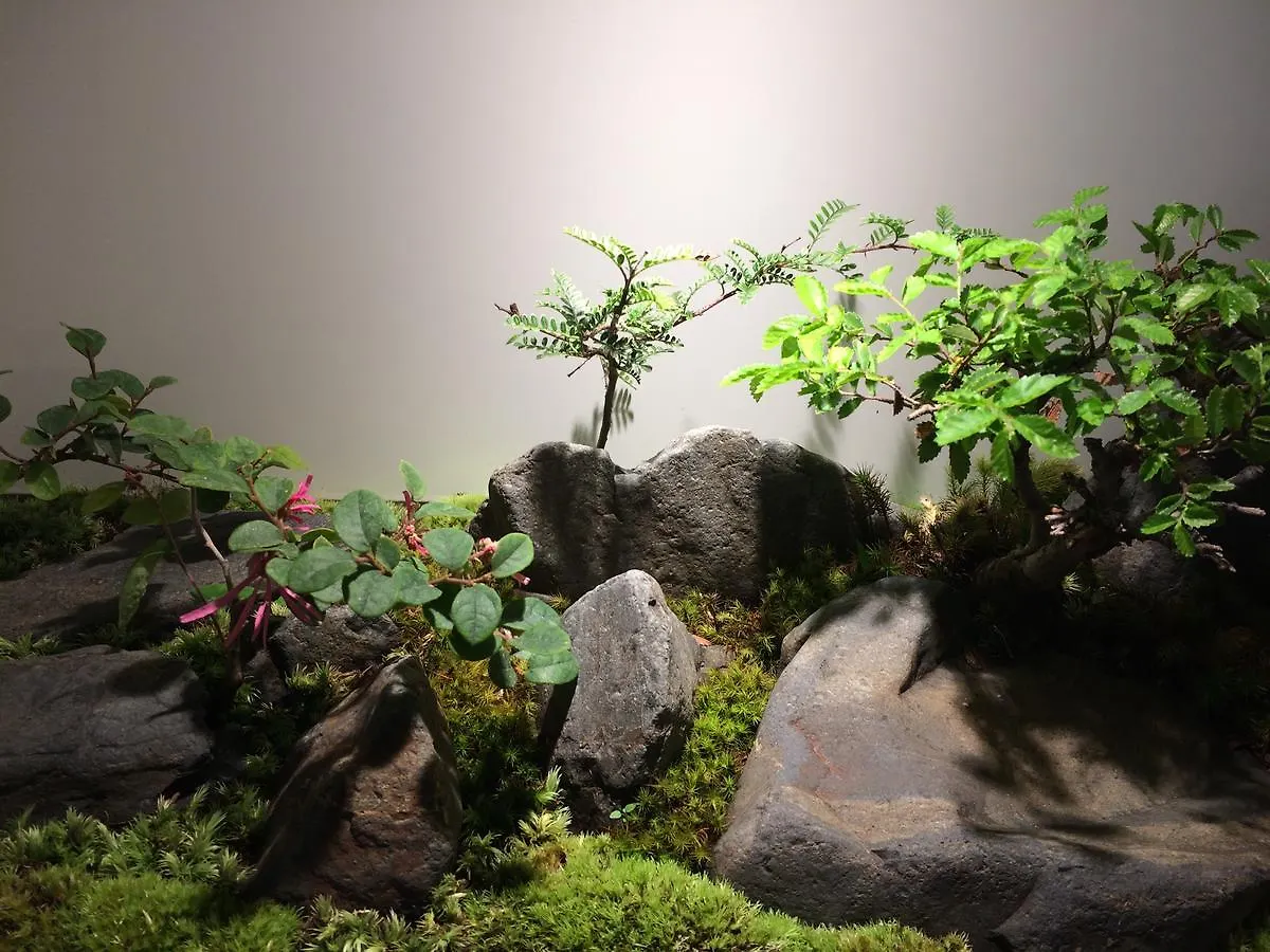 호스텔 D-Hostel Ryogoku 도쿄